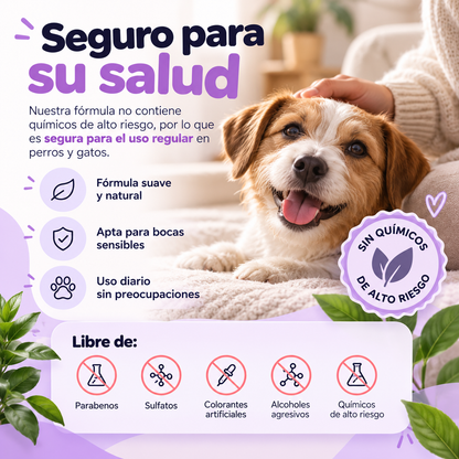 Spray Dental, aliento fresco en 10 segundos sin cepillo