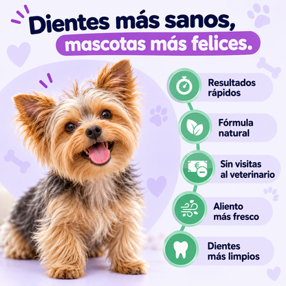 Spray Dental, aliento fresco en 10 segundos sin cepillo