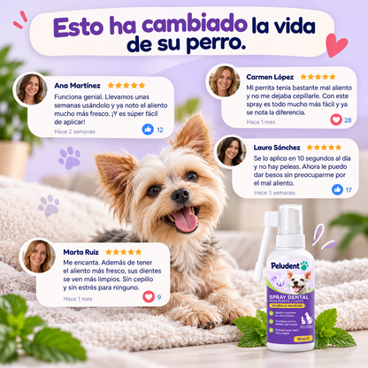 Spray Dental, aliento fresco en 10 segundos sin cepillo