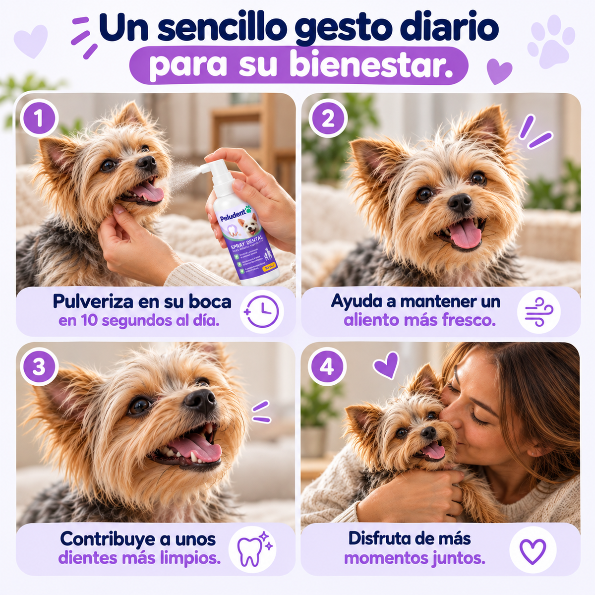 Spray Dental, aliento fresco en 10 segundos sin cepillo